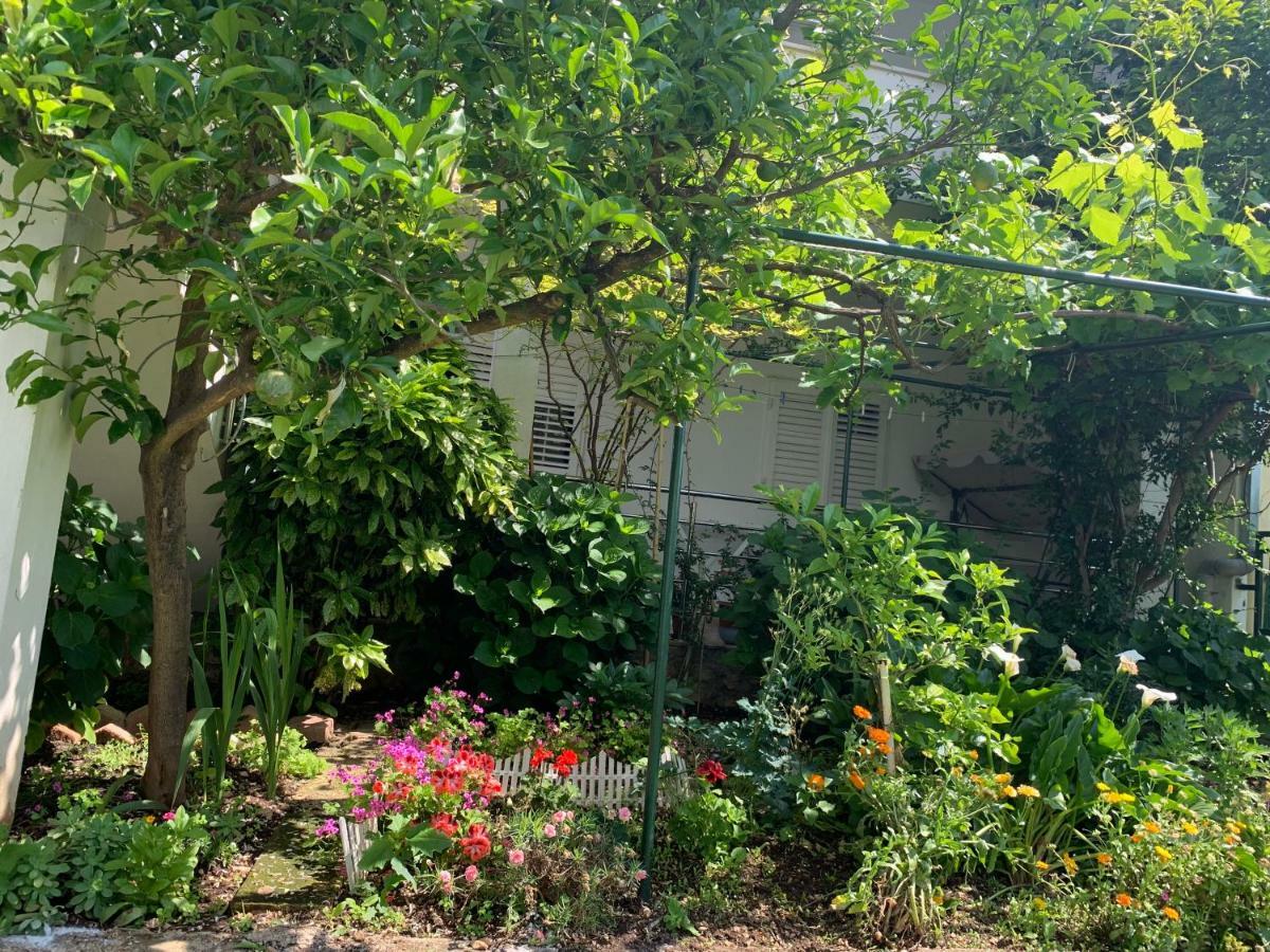 House Marta Baška Voda